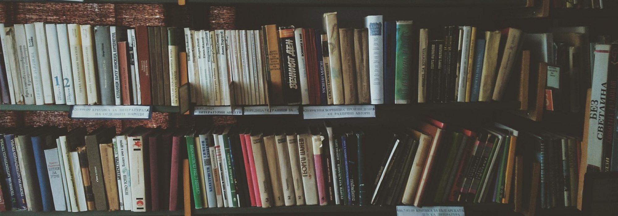 bookcases, books, bookshelves, knowledge, library, literature, novels, read, reading, bookworm, library, library, library, library, library