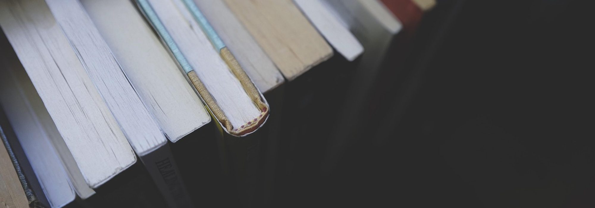 books, education, knowledge, library, literature, study, textbooks, read, reading, bookworm, books, books, books, education, education, education, library, library, library, library, study, study, study, study, study, reading, reading